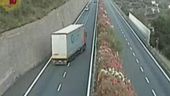 Un'estate di follie al volante