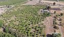 Il giardino della biodiversità