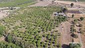 Il giardino della biodiversità