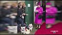 Le passioni della Regina: cani e cavalli in primis