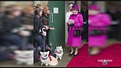 Le passioni della Regina: cani e cavalli in primis