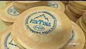 Come nasce la Fontina d'alpeggio DOP