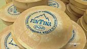 Come nasce la Fontina d'alpeggio DOP