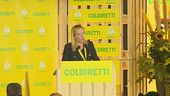 Meloni, daremo risposte efficaci