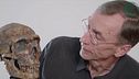 Nobel al padre della paleogenetica