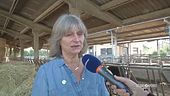 Renata Lovati ci svela i segreti dell'agricoltura biologica della Cascina Isola Maria