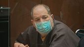 Weinstein torna alla sbarra