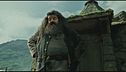 Addio al gigante di Harry Potter