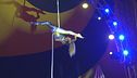 Gravity Circus, uno show mozzafiato