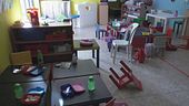Cinghiali in aula, panico all'asilo