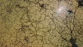 Allarme siccità, non è finita