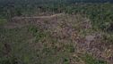 Amazzonia, deforestazione record