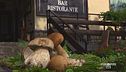 I funghi al centro del menu del ristorante Sella, sul Monte Amiata