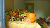 Halloween e la magia delle zucche