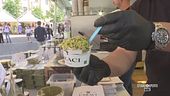 Il pistacchio di Bronte