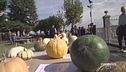 La fiera regionale della zucca