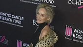 La nuova battaglia di Sharon Stone