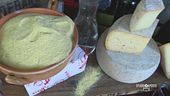 Polenta concia e miasse, due piatti tradizionali con protagonista la polenta