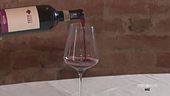 Alla scoperta del vino Nizza