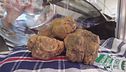 Il tartufo bianco di Acqualagna