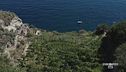 Coltivare viti ad Ischia