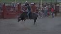Stop rodei nella terra dei cowboy
