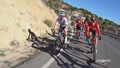 Ciclismo, Sonny Colbrelli si ritira