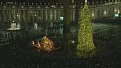 Il Papa accende l'albero di Natale