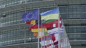 Eurogate, intrigo internazionale