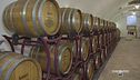 Alla scoperta della produzione dell'Amarone e dei migliori abbinamenti