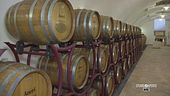 Alla scoperta della produzione dell'Amarone e dei migliori abbinamenti