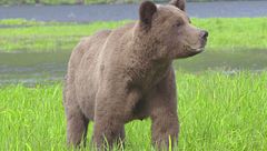 Ep. 1 - Terre di confine