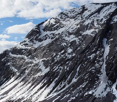 Ep. 5 - Sopravvivenza di gruppo