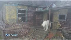 Puntata del 20 febbraio