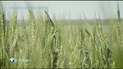 Puntata del 27 marzo