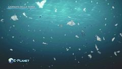 Puntata del 24 aprile