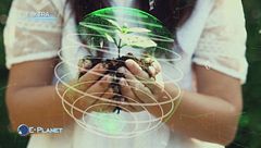 Puntata dell'1 maggio