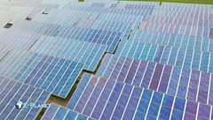 Puntata del 29 maggio