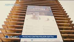 Alberi artificiali: spuntano i city tree