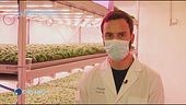 Planet Farms, il futuro è verticale
