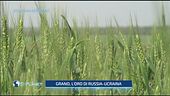 Economia in guerra