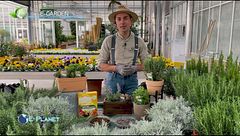 E-Garden: le erbe aromatiche