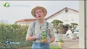 I consigli di E-Garden per un tappeto erboso sano, forte e bello