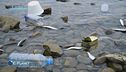 Gli oceani trasformati nella più grande discarica di rifiuti plastici