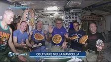 Cibo stellare