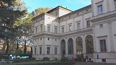 Villa Farnesina - Sos alberi