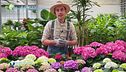 E-garden: le piante acidofile