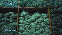 E-Xtra: Sempre più aziende tessili diventano green