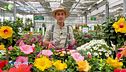 E-Garden: regali coloratissimi