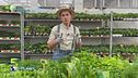 E-Garden: l'orto domestico